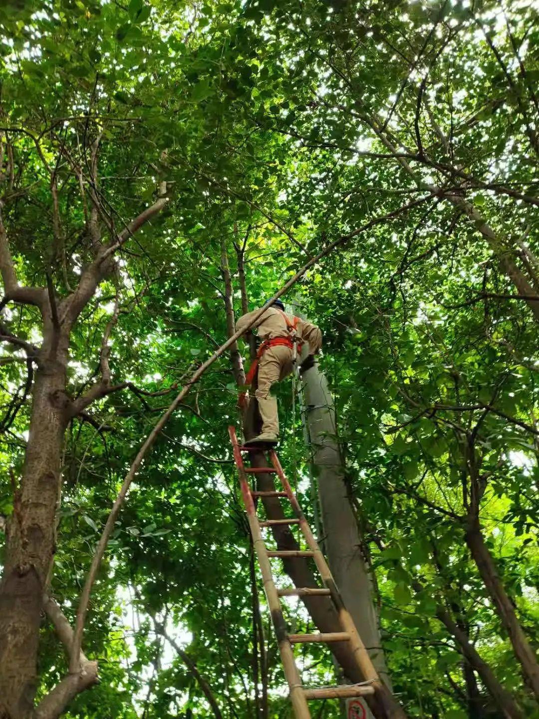 激光清障 激光清障